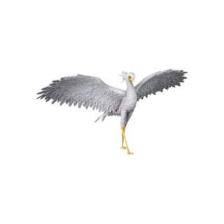 UDF FLOW Secretary bird