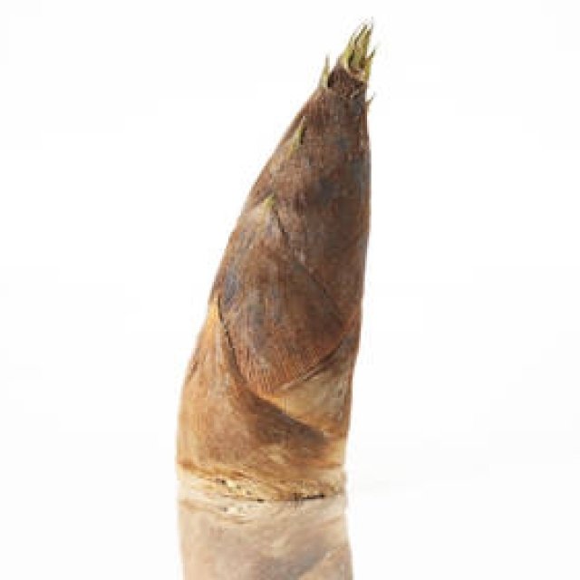 Part 11: Tales of the Table - The Bamboo Shoot