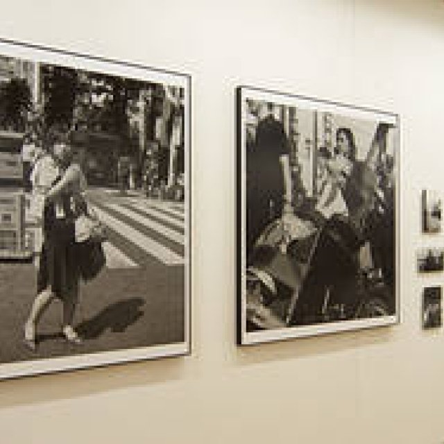 22nd: Osamu Wataya "Rumor/Pond" Photography Exhibition Interview (2)
