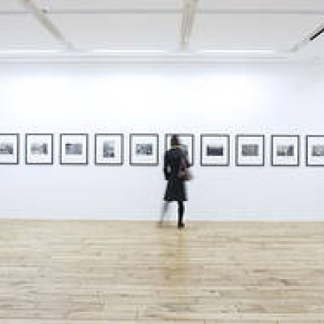 Lee Friedlander: Cherry Blossom Viewing (Part 1)