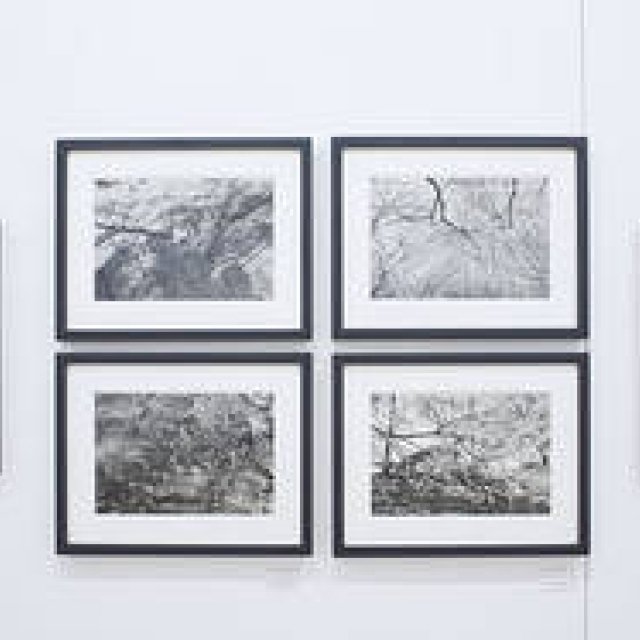 Lee Friedlander: Cherry Blossom Viewing (Part 2)