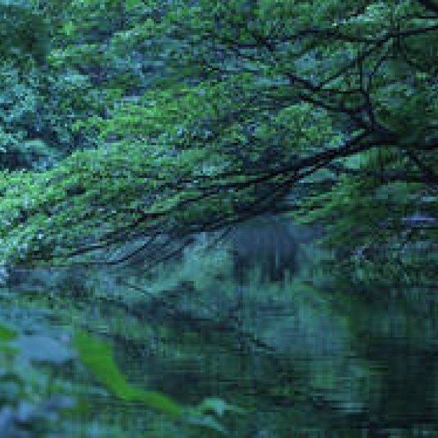 Michiko Fujiwara's Tales of Color: Part 1, June - The Blue of Dawn