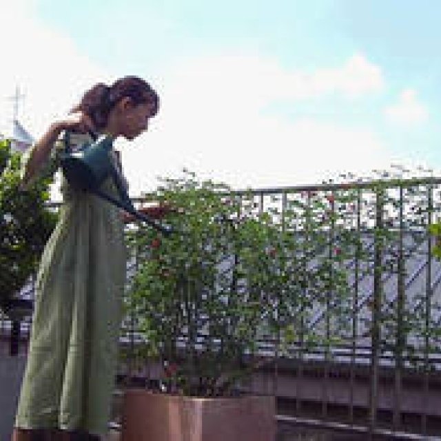 SPECIAL Report | Chase Michiko Fujiwara!