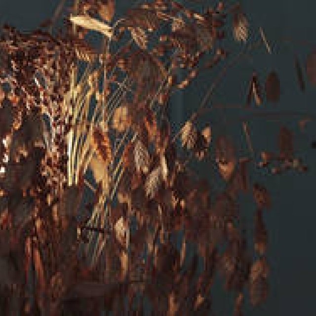 Part 40: Stories About "Living" – Autumn Lighting