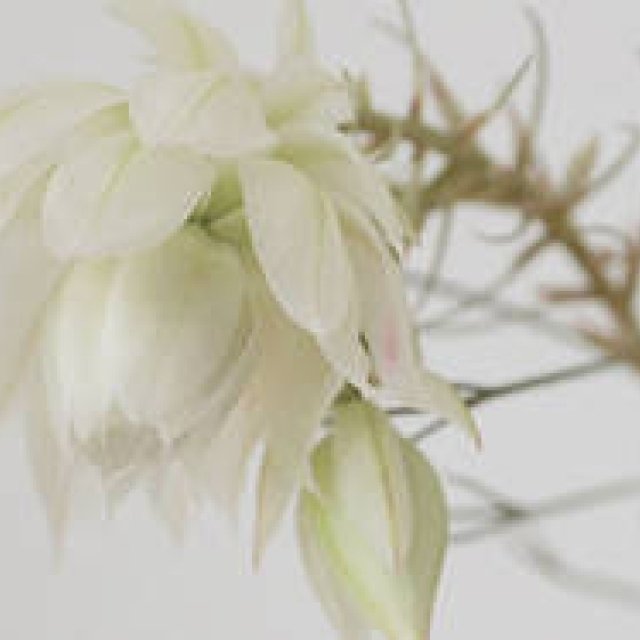 Michiko Fujiwara's "Color" Stories, Part 6: November – The "Grayish" Hue We Need Now?