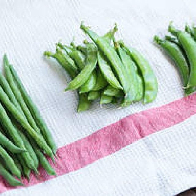 Part 50: Tales of "Sustenance" – Spring Beans (Part 1)