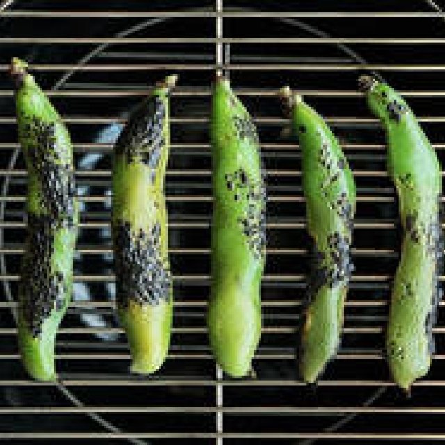 Maki Yoshida, Part 51: Tales of Food - Spring Beans (Part 2)