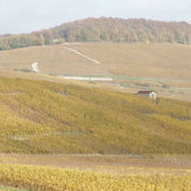 A Champagne Journey in France | Chapter 1 | Introduction & Bollinger