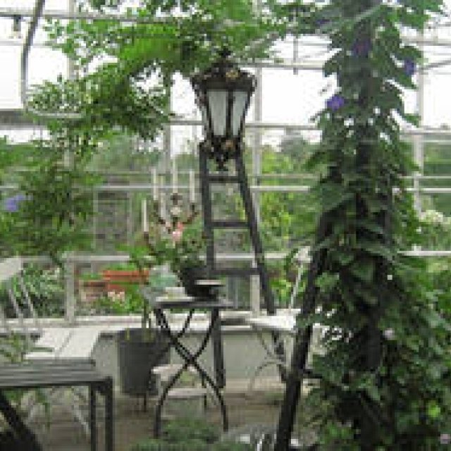 Yuki Tsukada | Tactile Botany, Episode 5: On Greenhouses