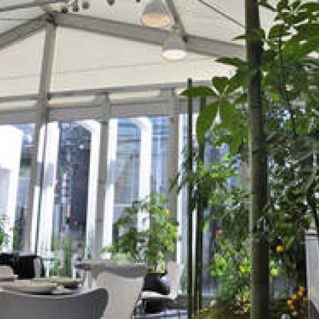 Yuki Tsukada | Tactile Botany, Episode 6: BMW Studio ONE = On Greenhouses