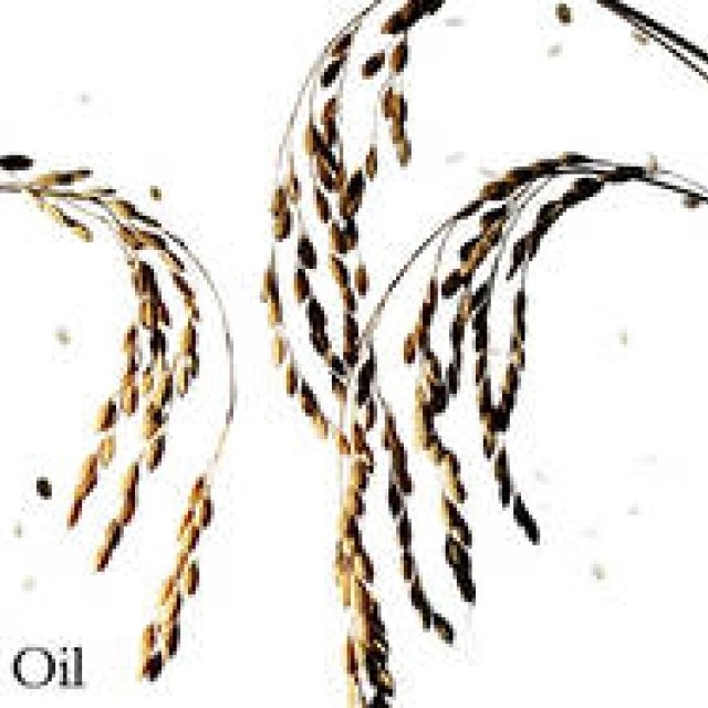 Natural Cosmetics Feature: Rice Bran Oil