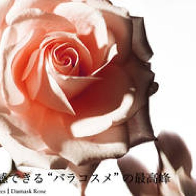 Feature: The Latest Natural Cosmetics Catalog