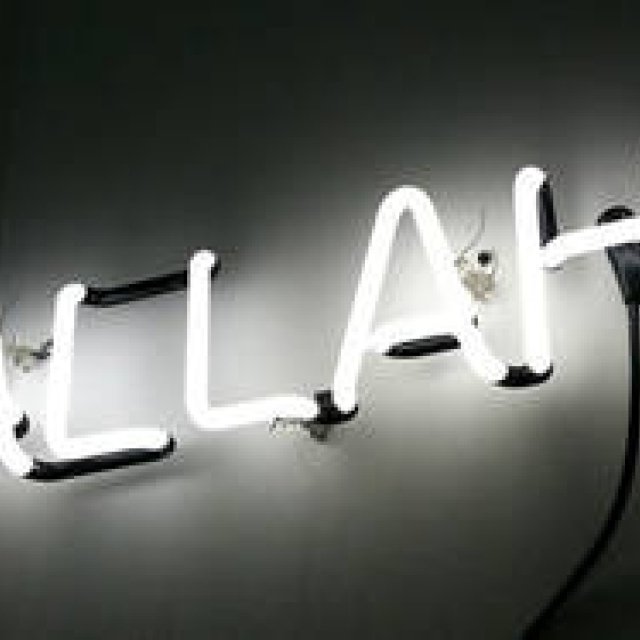 Matthew Waldman | Vol. 12 Neon Vagina @ 2010 NYC The Armory Show