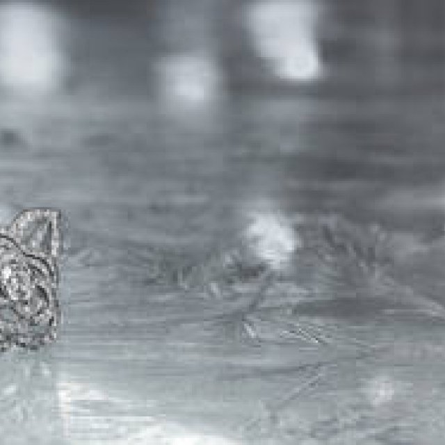 Chanel High Jewelry and Watch Collection: Public Exhibition