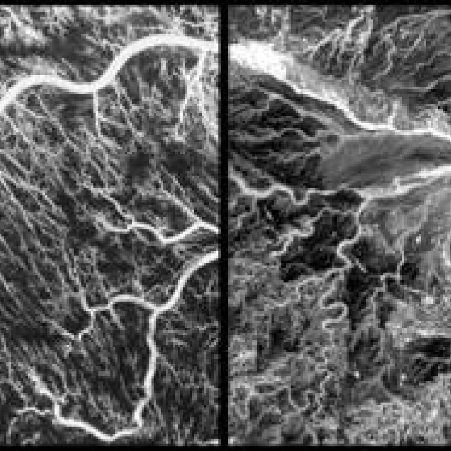 Series: Hirotaka Tsuboi | Part 1: "Viewpoint"