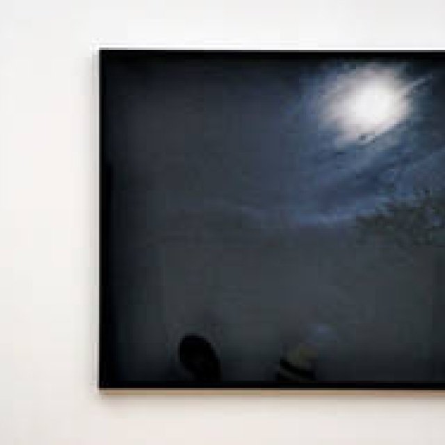 Serial: Yuki Tsukada | Tactile Botany of Greenery, Part 8: Depression, Transition, Reality