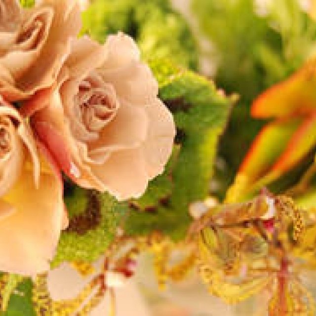 Series: Masami Wake | Bathing Flowers: “Flowers are also bathing”