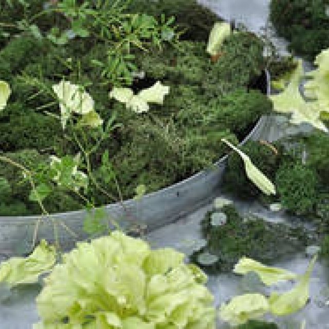 Series: Yuichi Tsukada | Haptic Botany, Part 11: I arranged flowers. I lived. I buried.