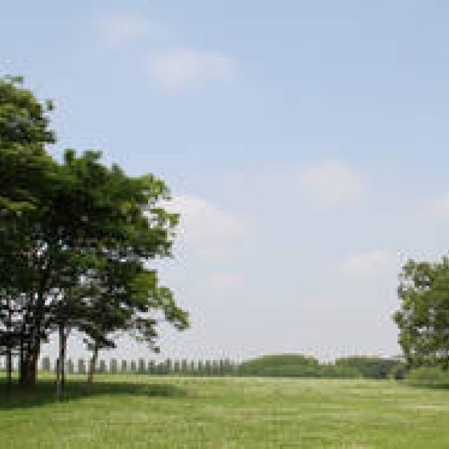 Toshio Matsuura | Let's Enjoy the Beautiful Season When Your Body Feels Light