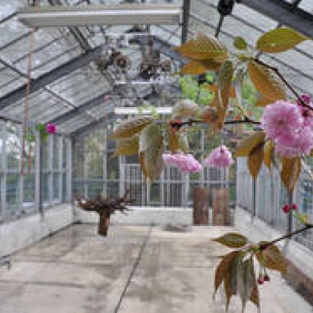 Series: Yuichi Tsukada | Haptic Botany, Part 12: The Reading Room as Spring Fades