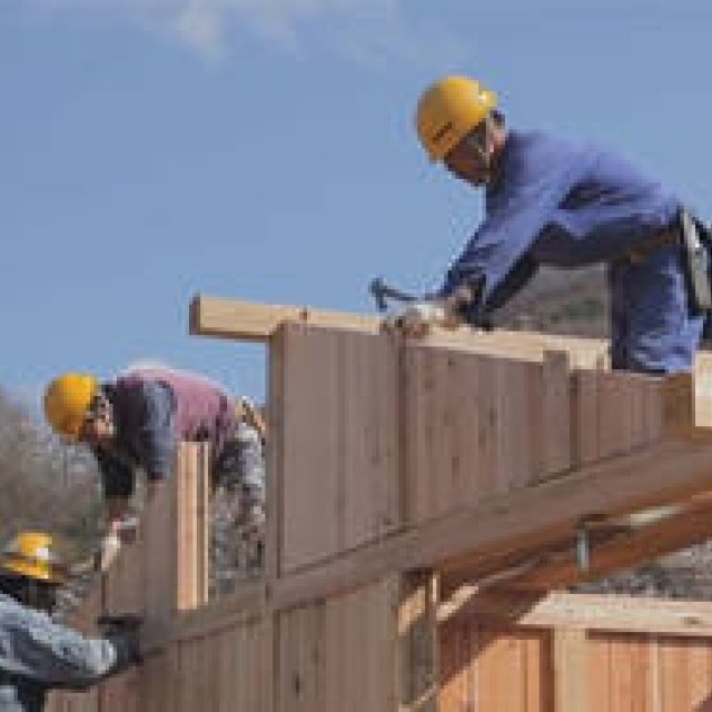 more trees | Launches Disaster Relief Project "LIFE311"