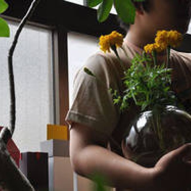 Series: Yuichi Tsukada | Haptic Botany, Part 13: "Rim Green" Relaunches