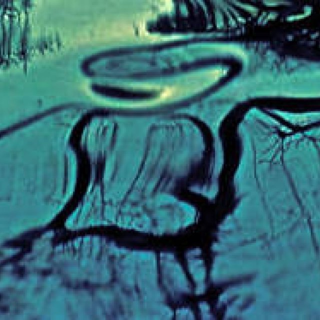 Diary-T 105: Sea of Glass