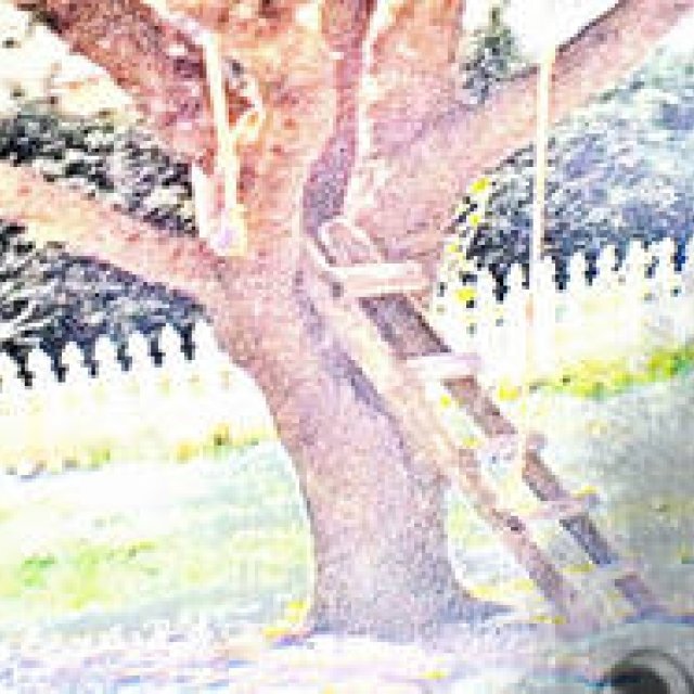 Diary-T 110 "The Tree of Life"