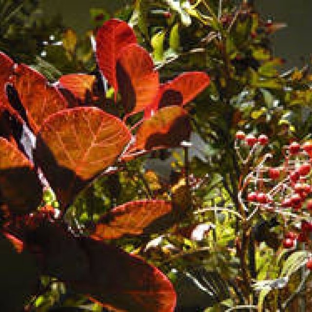 ISETAN Men's Residence Newsletter October 2011 | ISETAN MEN'S | Autumn at the Men's Building is Packed with Events!