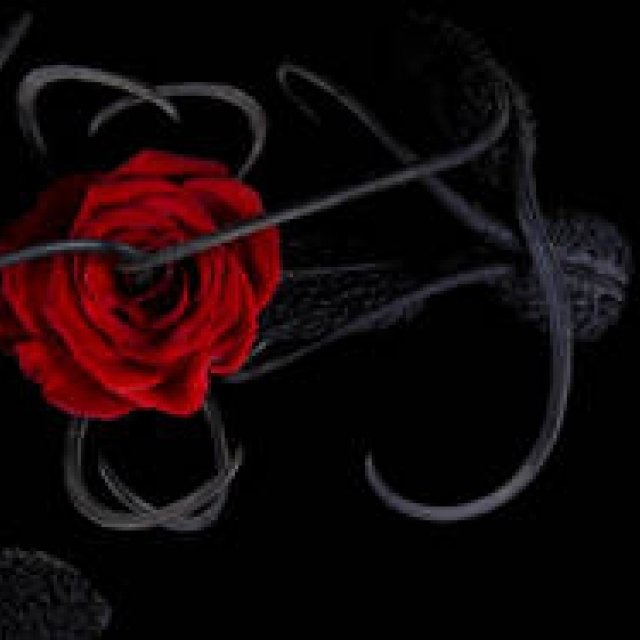 The second collaboration between Helmut Lang and Makoto Azuma!｜HELMUT LANG