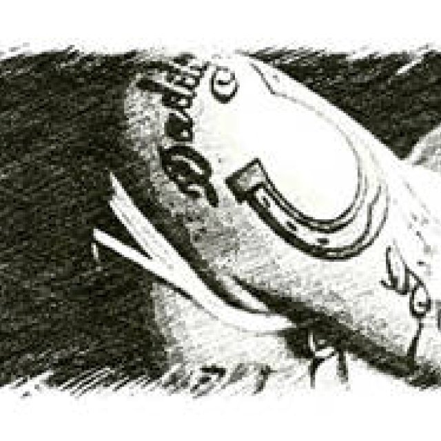 Diary-T 142 Lonely Night