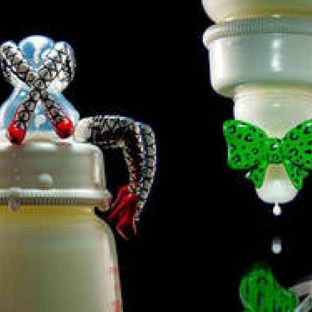 Justin Davis | 2011 Christmas Latest Collection