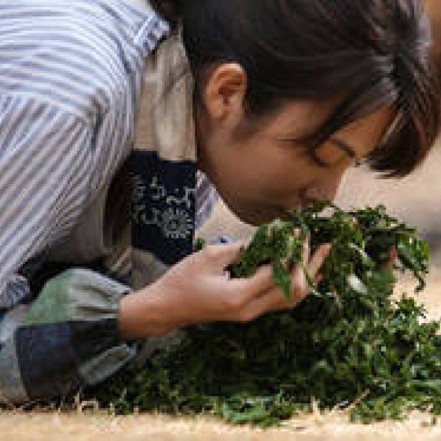 MOVIE | Rena Tanaka on the Film "The Sower: The Tea of Minori"