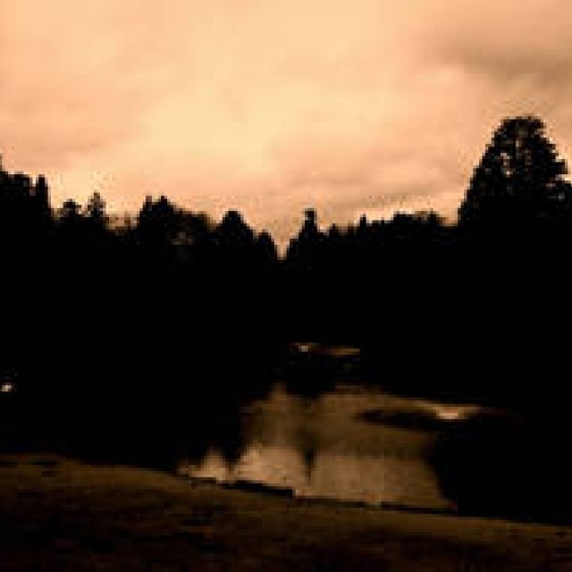 Diary-T 226 - A Sunday of resolve, I believe.
