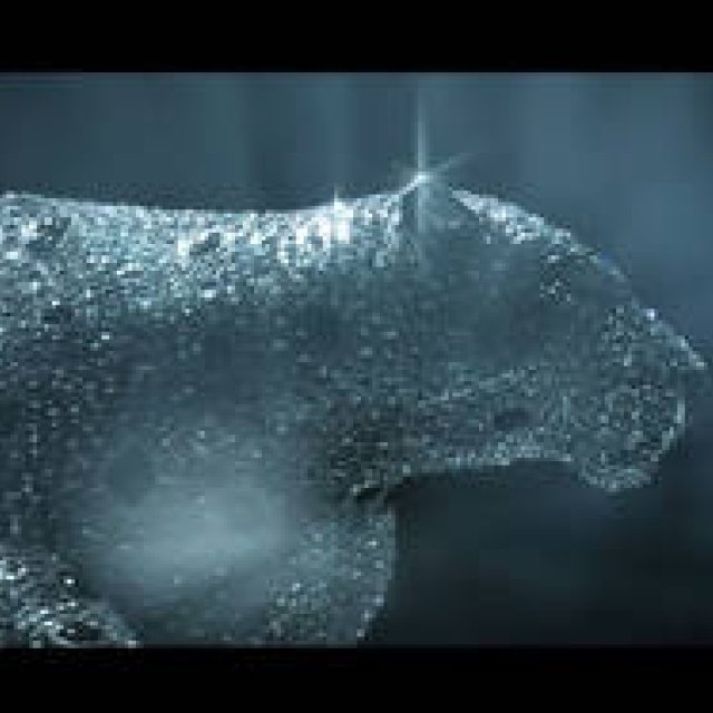 The Film 'L'Odyssée de Cartier' Celebrating Cartier's 165th Anniversary | Cartier