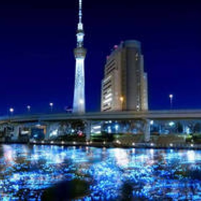 EVENT | 100,000 'Fireflies' Dance on the Night Sumida River!