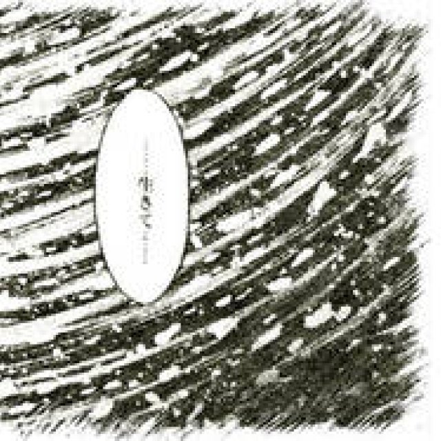 Diary-T 261 To live