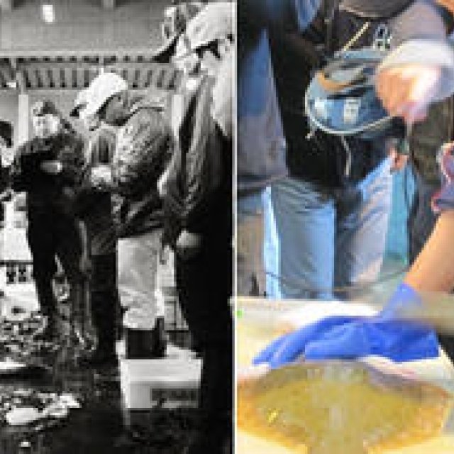 COOK IT RAW: A Four-Day Adventure with Naturalist Chefs on the "Shoku-do / Path to Food" (Part 2)