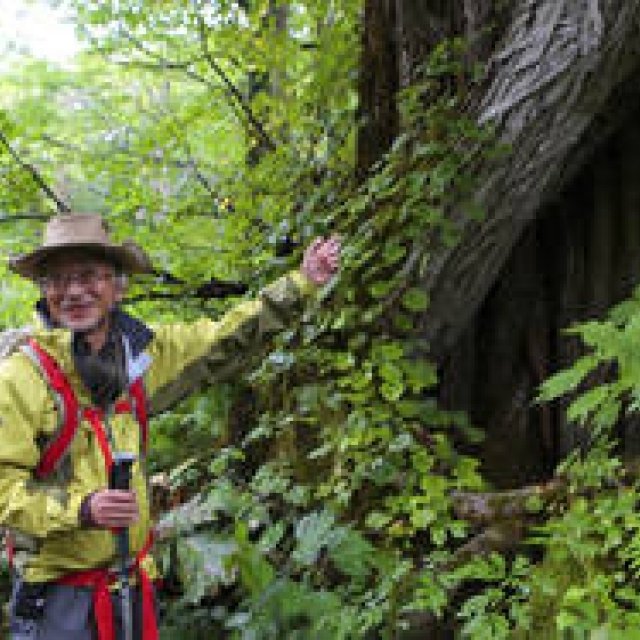 プロフェッショナルと巡る森～岐阜・飛騨地方の自然とアクティビティ～Chapter 2