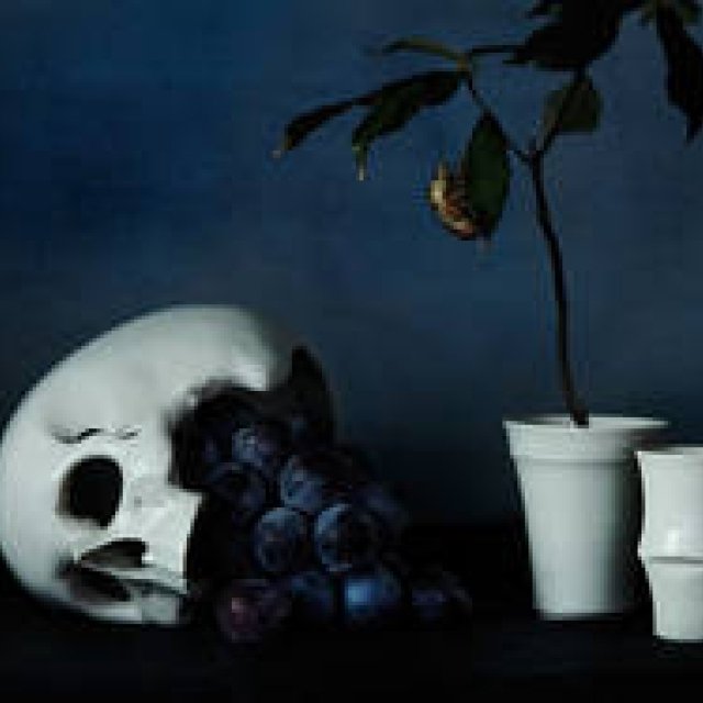 Saruyama: White is the Color of Empty Space. Shiro Hamanaka Exhibition “alternative white” Now Open