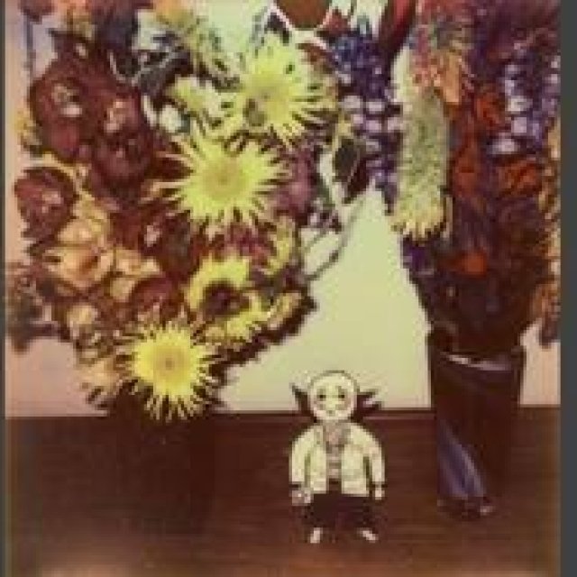 ART│Nobuyoshi Araki Exhibition "Inmu" Held at Tsutaya Books