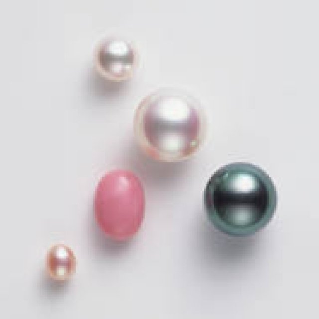 MIKIMOTO | Pearl School Held to Commemorate 120 Years Since the Invention of the Pearl