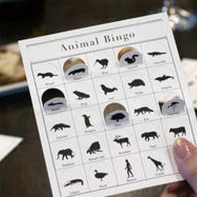 CEMENT PRODUCE DESIGN | Introducing "Animal Bingo," Where Numbers Are Replaced by Animals