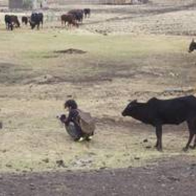 ART | The Exhibition 'Tsuyoshi Ozawa, Masakatsu Takagi: Traveling Through Africa' at Yokohama Creative City Center