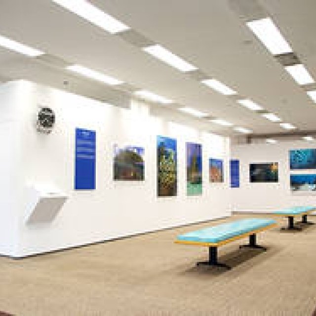 BLANCPAIN│ 'Oceans': A Photography Exhibition Inviting You to a Mysterious Underwater World