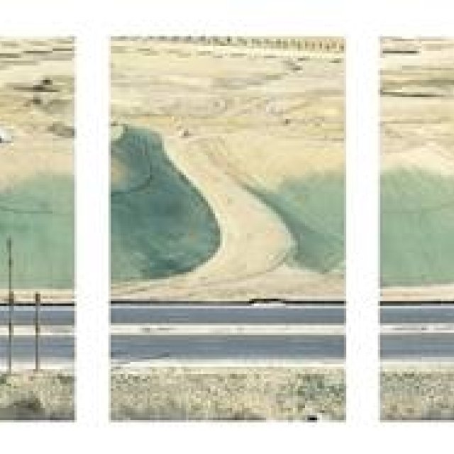 ART FILE 22 | 'Mutation' | From the Series 'Global Art Exhibitions'
