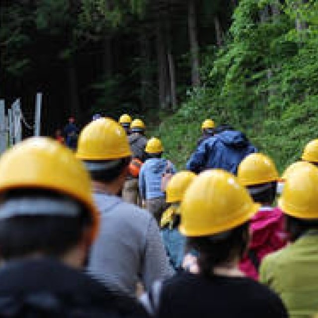 more trees x Marunouchi Asa Daigaku | Close-Up on the "Urban Lumberjack Class"
