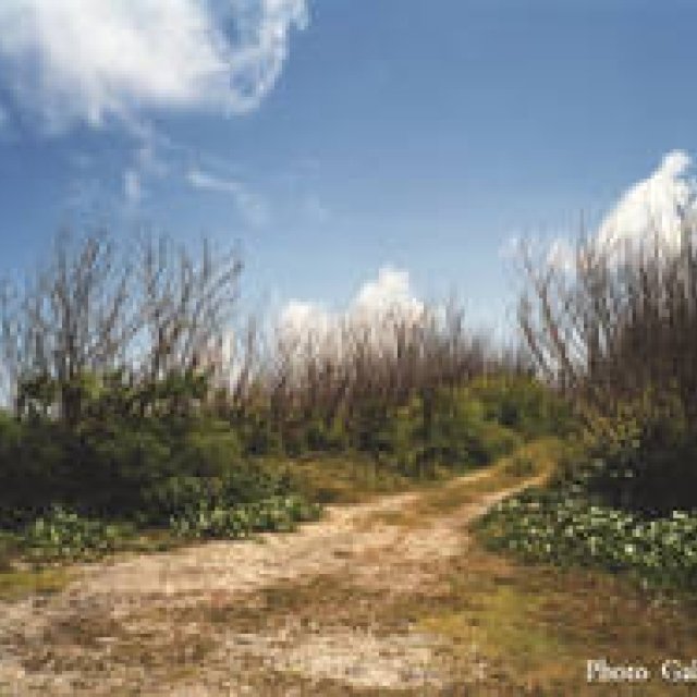 ART | 'If You Can See It, It's Not There' Exhibition by Tomoko Yoneda at the Tokyo Photographic Art Museum