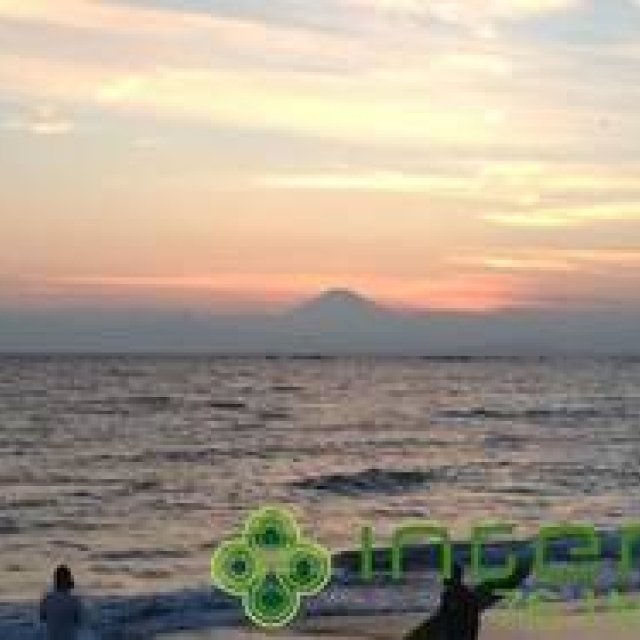 Toshio Matsuura | Summer will come again next year. But this summer will not return.