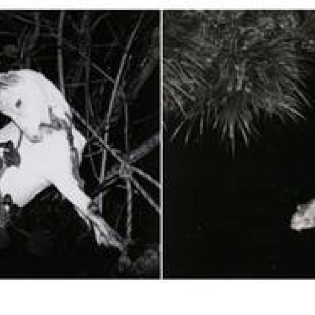 ART | Issei Suda Photography Exhibition "Nagi no Kata" Held at Tokyo Photographic Art Museum